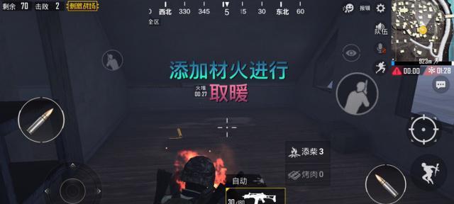 冰雪奇缘（如何应对低温掉血？打造极地求生最强生存法则）