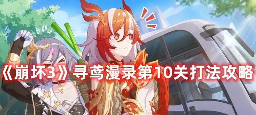 什么是每日调查？
