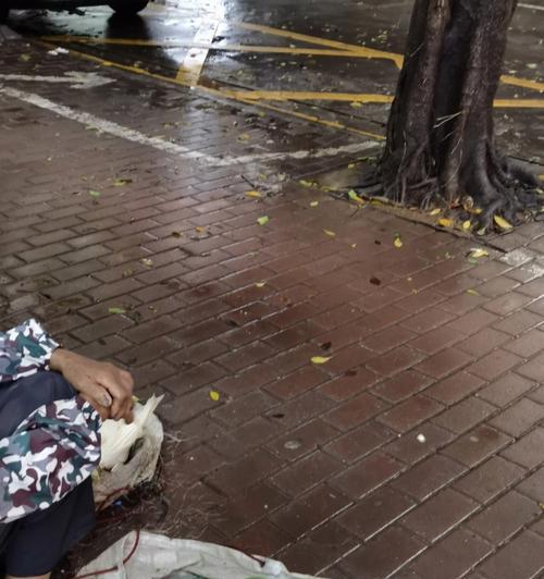黑色沙漠玩家必备（以游戏为主，教你如何正确获取凯波岚生姜茶知识）