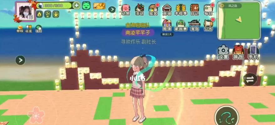 《小森生活海岛采集指南》（从游戏角度看，这些物品最值得收集！）