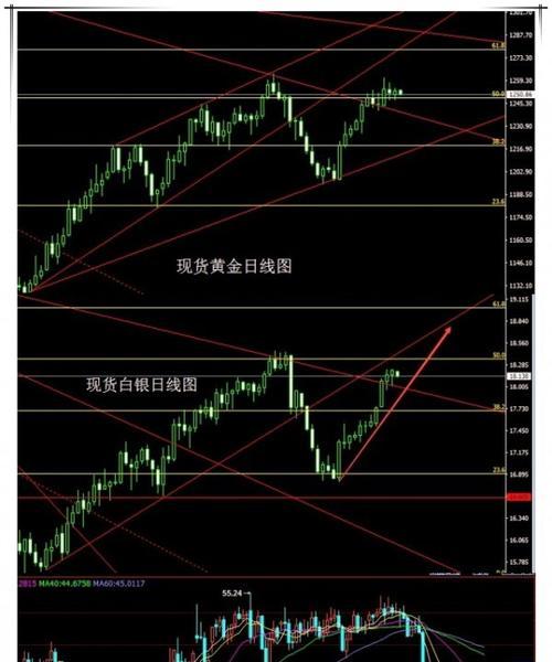 螳螂白银局出装攻略（最强战术套路带你稳定晋级）