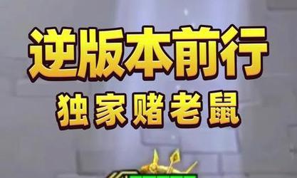 《霓虹之夜老鼠出装攻略》（最新版本的老鼠装备选择与技巧分享）