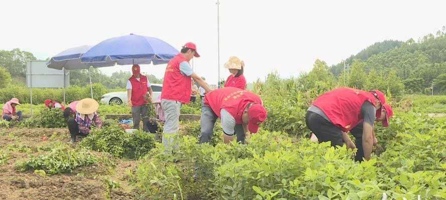 攻略困难（挑战自我、发现未知的花生镇探险攻略）