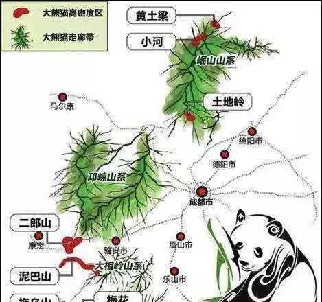 熊猫世界游玩攻略（亲临大熊猫的世界——揭秘熊猫世界的魅力）