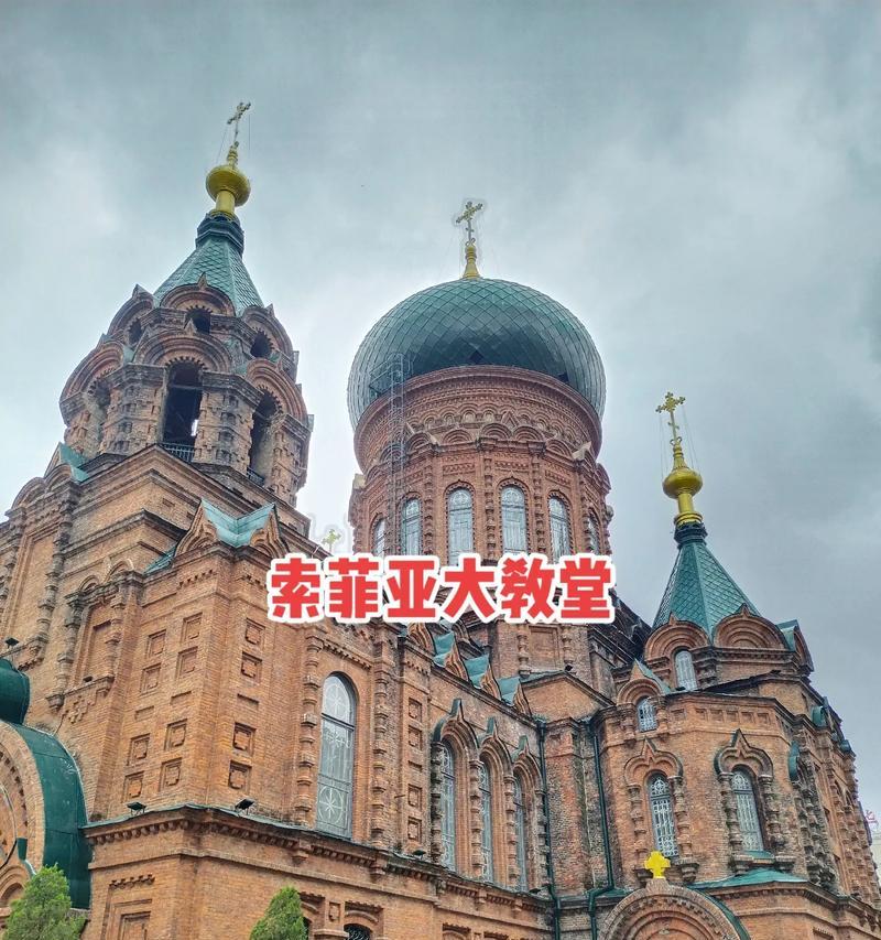 《光影对决》新精灵索菲亚技能介绍与推荐（解析索菲亚的技能组合，打造最强精灵团队）