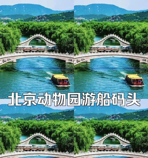 《畅游动物乐园，游戏攻略大揭秘》（探索动物乐园的秘密，成为游戏高手！）