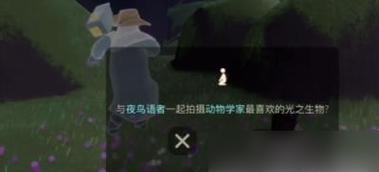 《光遇》5.17每日任务攻略（全面解析游戏任务，轻松获得奖励）