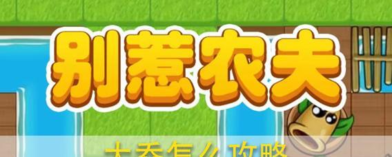 双穿大桥攻略（探索双穿大桥装备搭配策略，带你实现无敌输出！）