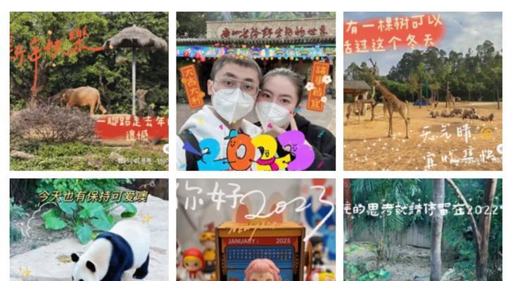 以旧年今夏游戏攻略（攻略领域中的关键技巧与心得，让你成为游戏大师！）