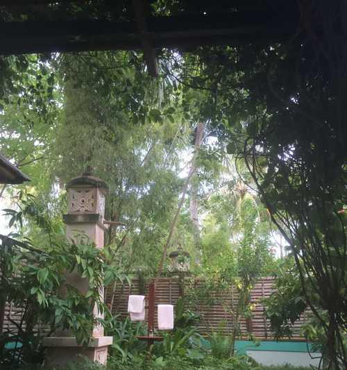 逃离无人岛（一场惊险刺激的求生之旅，只有智者才能脱险）