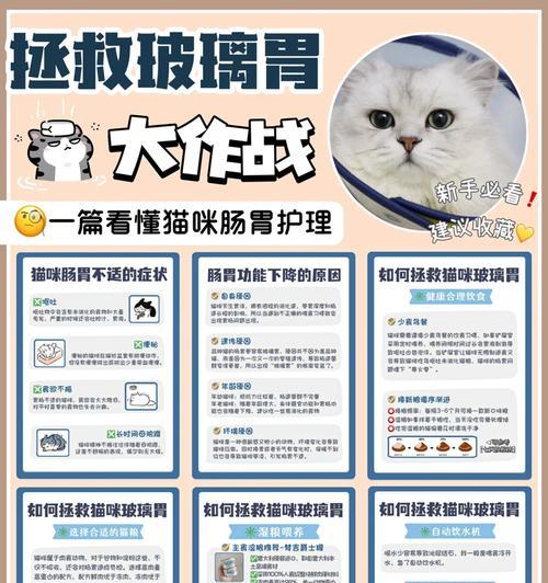 《大便与猫咪的游戏攻略》（探索奇妙游戏世界的乐趣与策略）