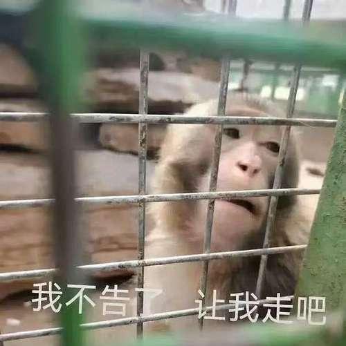 揭秘头条小游戏《正义降临》攻略（超越困难，成就正义）